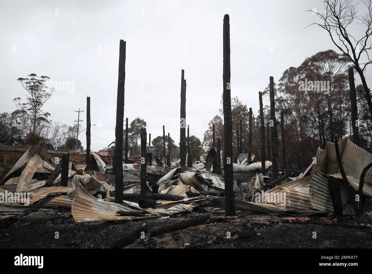 200119 -- CANBERRA, 19. Januar 2020 -- Foto aufgenommen am 18. Januar 2020 zeigt die Szene nach dem Buschfeuer in Mogo, zwei Autostunden von Canberra, Australien entfernt. Mindestens 28 Menschen haben ihr Leben verloren und mehr als 2.000 Häuser wurden in dieser Buschbrandsaison in Australien zerstört. Foto: /Xinhua AUSTRALIA-CANBERRA-FIRE ChuxChen PUBLICATIONxNOTxINxCHN Stockfoto