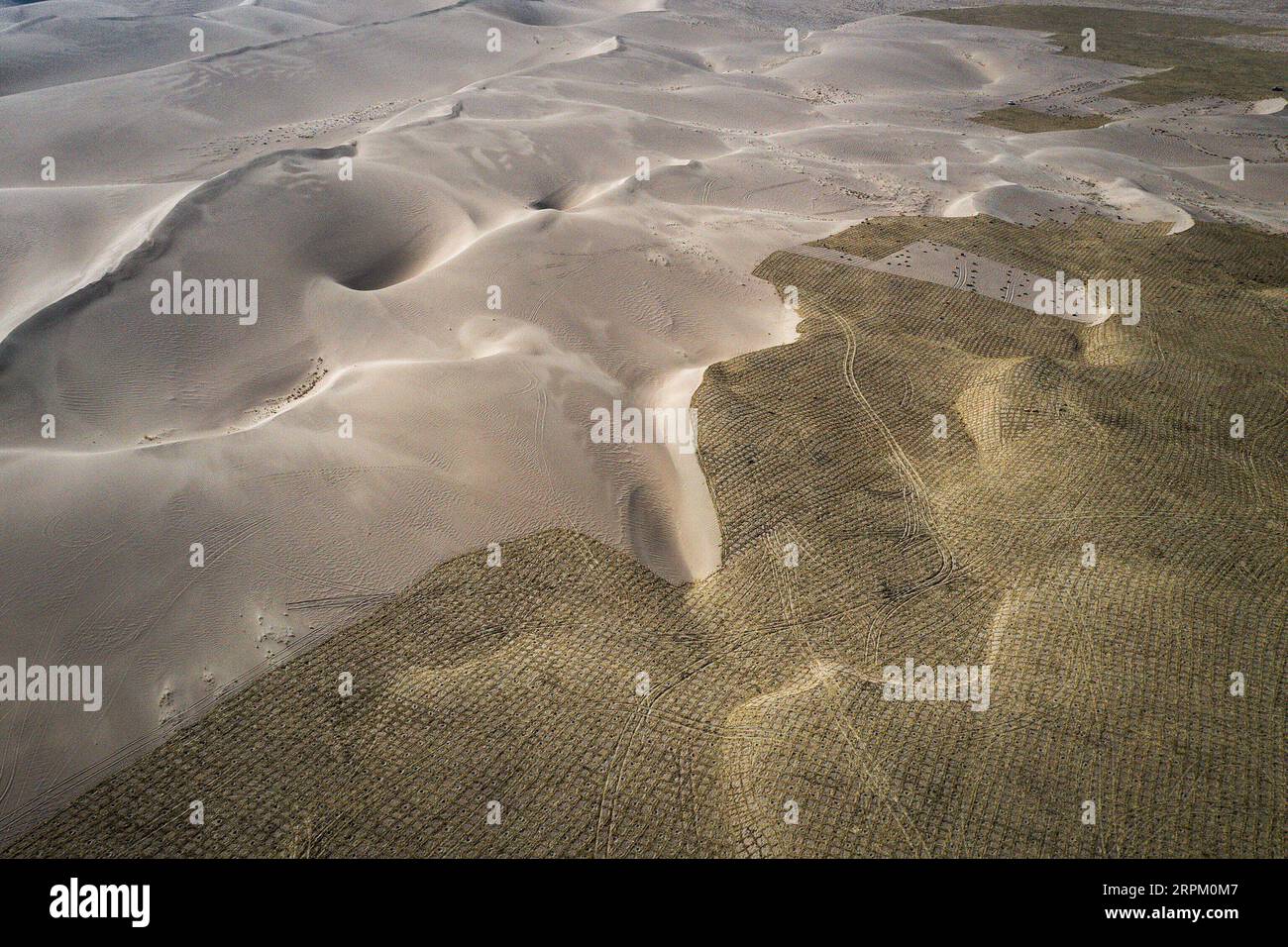 200123 -- DAVOS, 23. Januar 2020 -- das am 28. März 2019 aufgenommene Foto zeigt Sandbarrieren unter der Initiative „Ant Forest“ in der Tengger Wüste, nordwestchinesische Provinz Gansu. ANT Forest/Handout über Xinhua Xinhua Schlagzeilen: Chinas Ruf nach Globalisierung, Inklusivität hallt bei Davos YinxXiaosheng PUBLICATIONxNOTxINxCHN nach Stockfoto