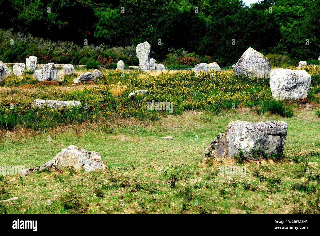 Megalithische Steinausrichtungen in der französischen Carnac-Bretagne Stockfoto