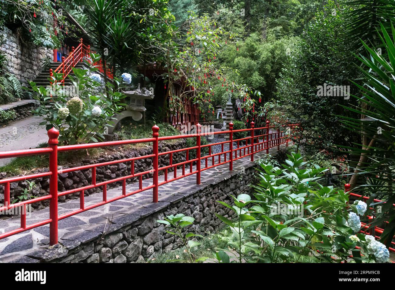 FUNCHAL, PORTUGAL - 24. AUGUST 2021: Dies sind Gassen im Nord-Oriental-Garten im Monte Tropical Park. Stockfoto