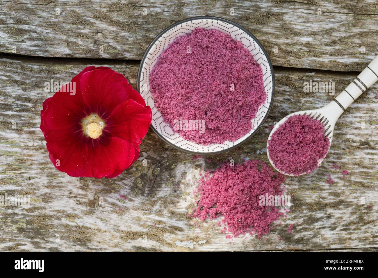 hollyhock (Alcea rosea, Althaea rosea), selbstgemachtes hollyhocksalz Stockfoto