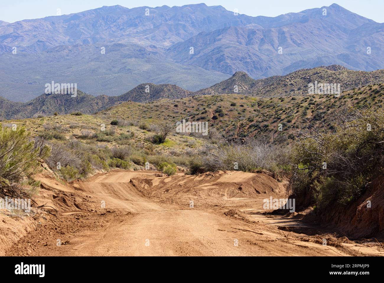 Bereinigte Straße nach starkem Regen in der Wüste, USA, Arizona, N Horseshoe Dam Rd, Scottsdale Stockfoto