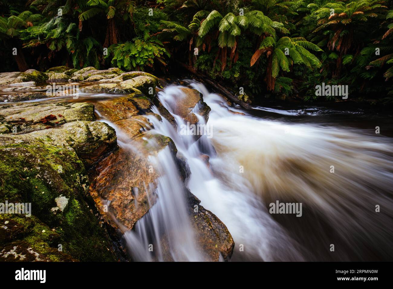 Landschaft der beliebten Halls Falls mit viel Wasser an einem warmen Frühlingstag in Pyengana, Tasmanien, Australien Stockfoto