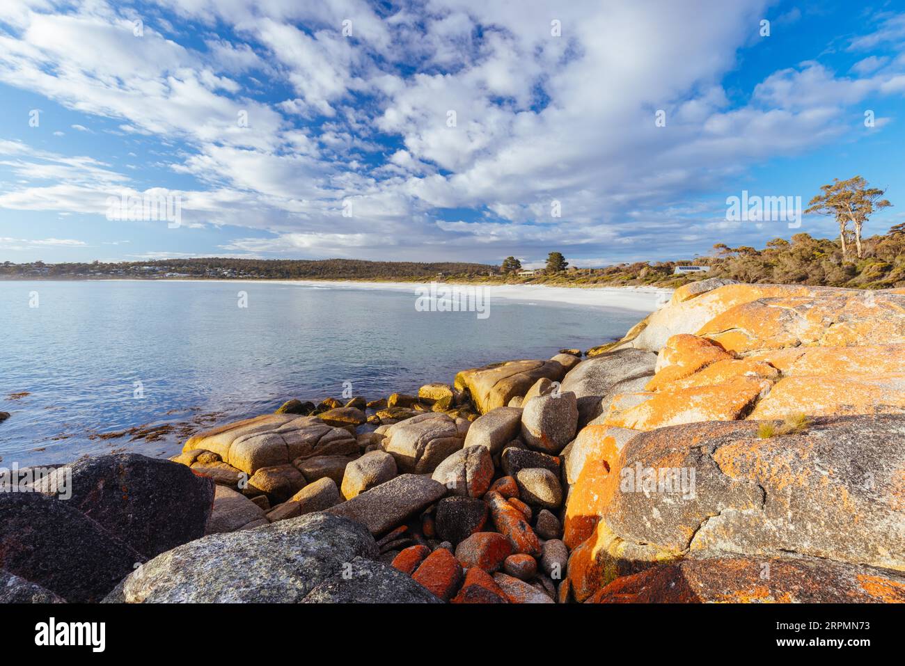 Die ikonischen Flechten bedeckten Felsen und türkisem Meerwasser in der Bay of Fires über Cozy Corner in der Nähe der Binalong Bay, Tasmanien, Australien Stockfoto