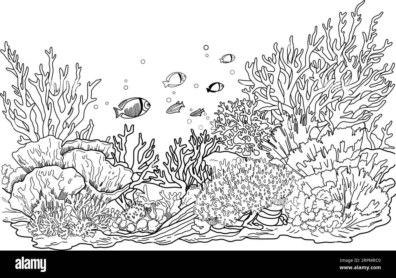 Unterwasserwelt-Malseite. Färben des Seitenlebens im Ozean mit Algen Stock Vektor