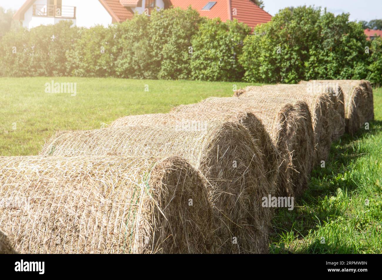 Strohstapel nach der Ernte auf dem Feld runden. Stockfoto