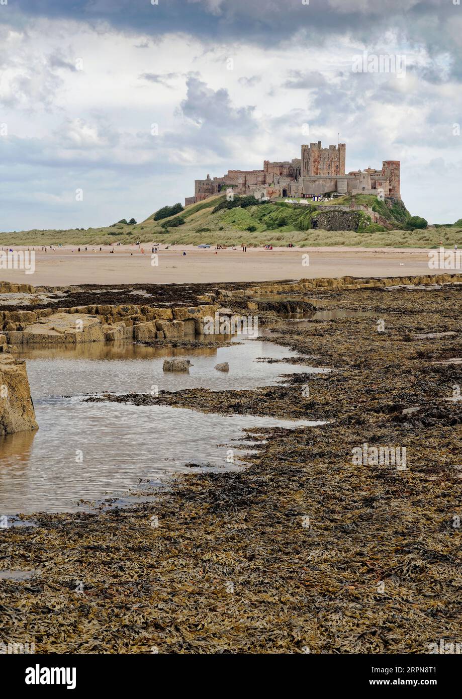 Südlich von Bamburgh Castle, einem berühmten Wahrzeichen Northumberlands und Touristenattraktion, vom Strand bei Ebbe im August 2023 aus gesehen. Stockfoto