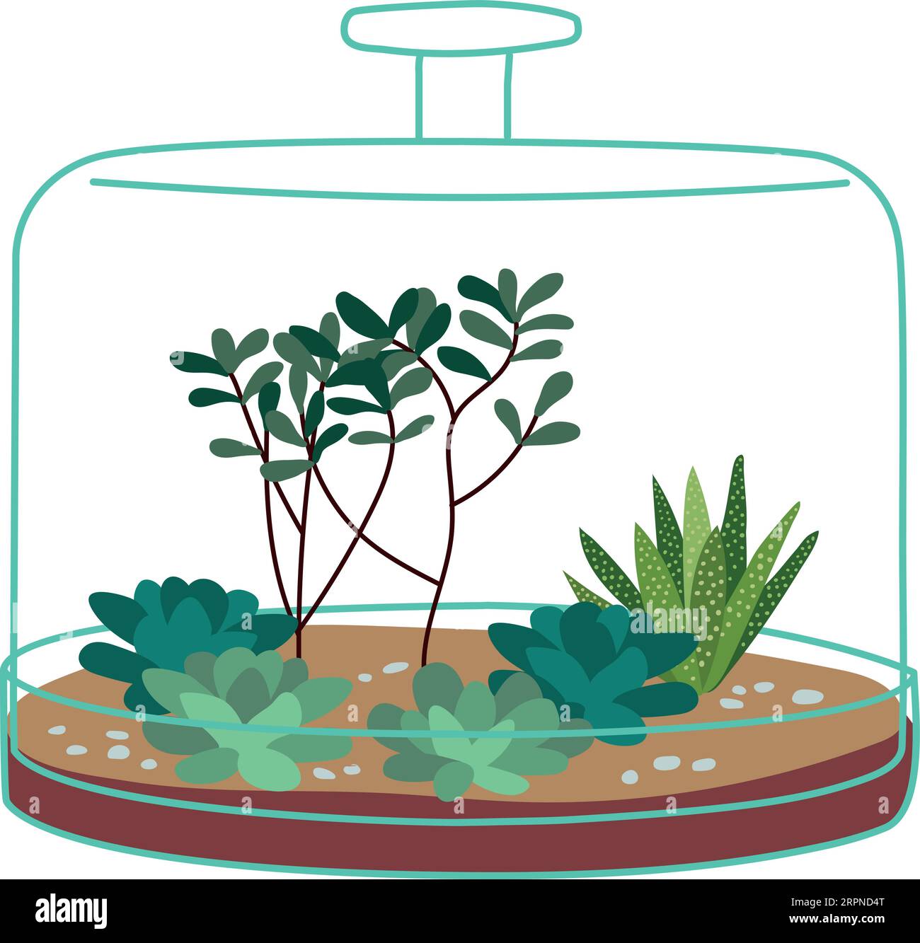 Zimmerpflanze im Glasterrarium. Hygge Wohnkultur Stock Vektor