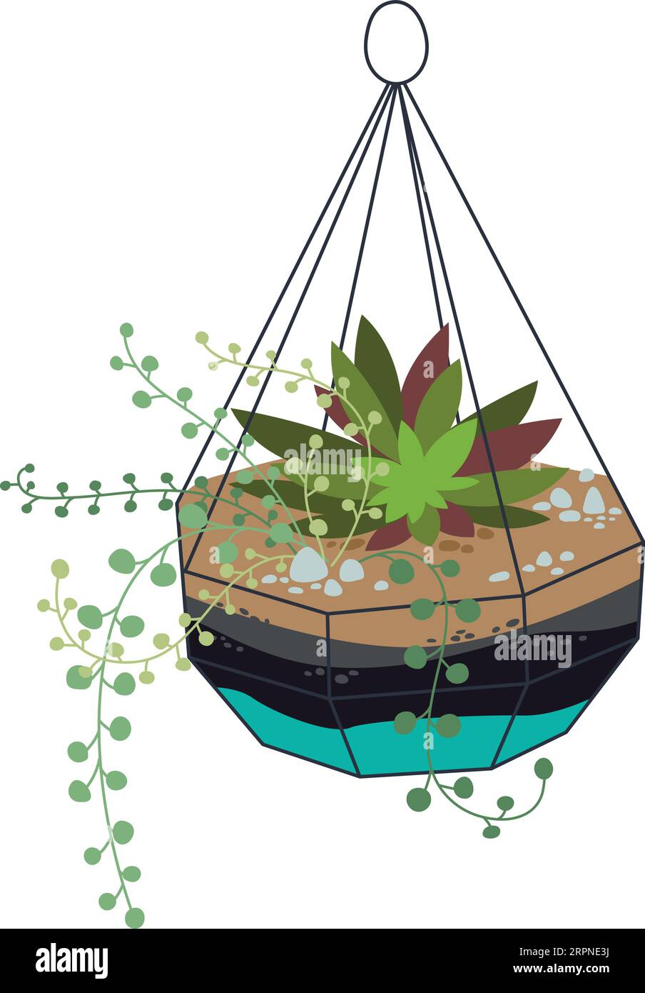 Hausbotanik. Süße grüne Dekoration. Terrarium mit Blumendesign Stock Vektor