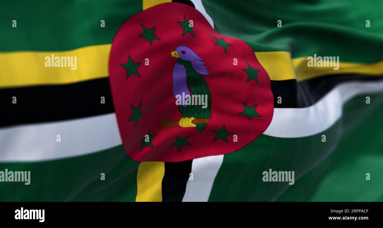 Nahaufnahme der winkenden Nationalflagge von Dominica. Grünes Feld, ein Kreuz aus Gelb, Schwarz und weiß, eine rote Scheibe mit einem violetten Sisserou-Papagei und zehn grüne s Stockfoto