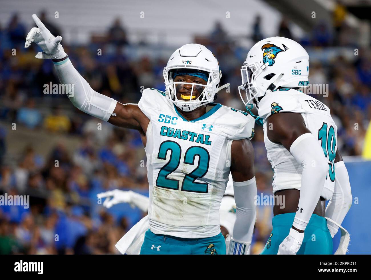 Am 2. September 2023 feiert Coastal Carolina Chanticleers Safety Clayton Isbell (22) eine Abhörung während des NCAA-Fußballspiels zwischen den Coastal Carolina Chanticleers und den UCLA Bruins beim Rose Bowl in Pasadena, Kalifornien. Obligatorischer Bildnachweis : Charles Baus/CSM/SIPA USA (Bildnachweis: © Charles Baus/Cal Sport Media/SIPA USA) Stockfoto