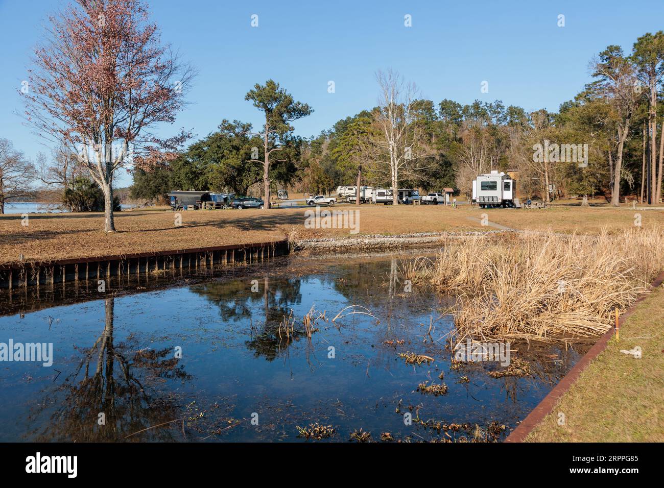 Blick auf den Lake Seminole vom Corps of Engineers Eastbank Campground in der Nähe der Florida State Line in Georgia Stockfoto