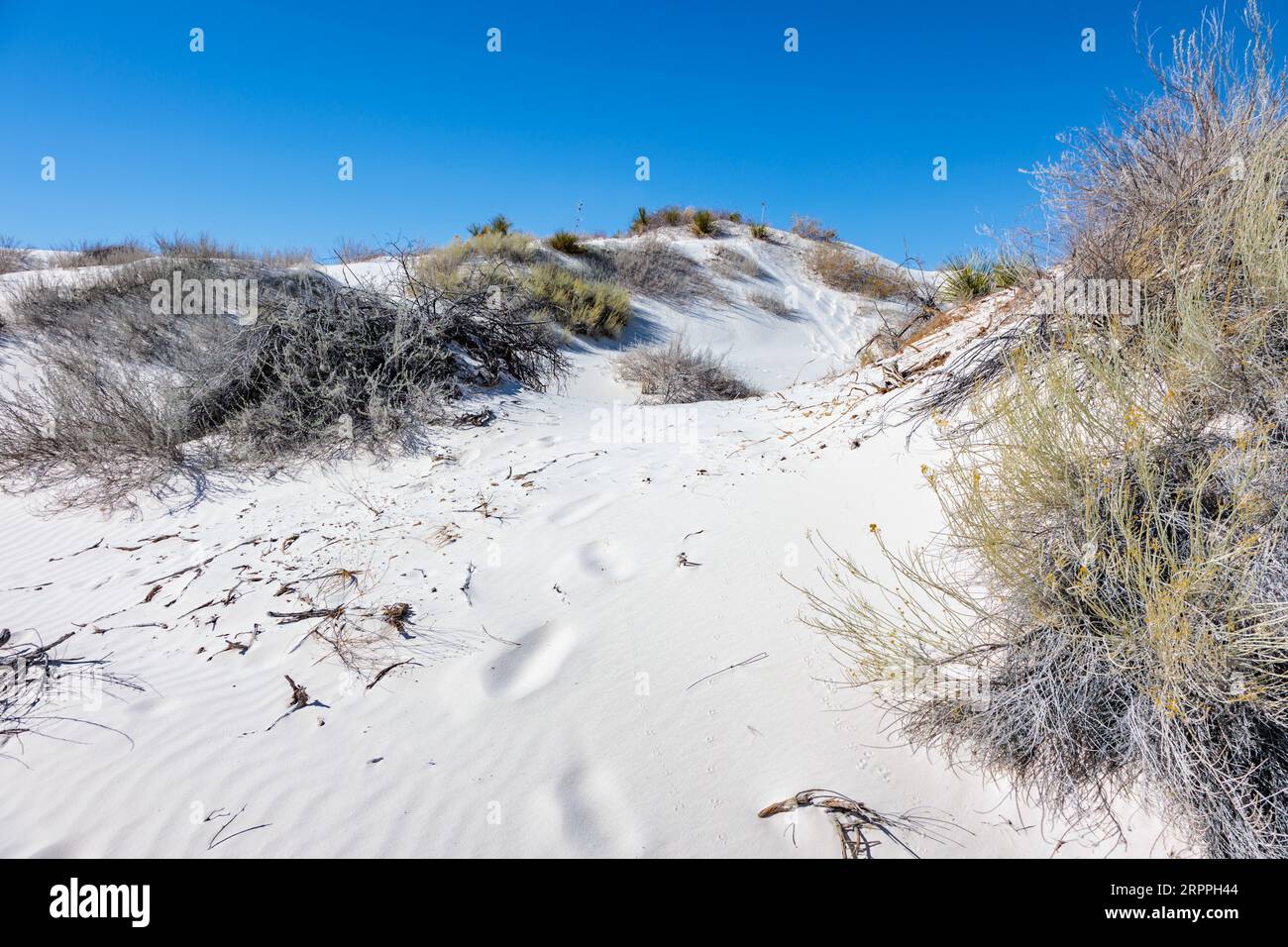 Gipsdünenfelder am White Sands National Monument in der Chihuahuan-Wüste und im Tularosa Basin in der Nähe von Alamogordo, New Mexico, USA Stockfoto