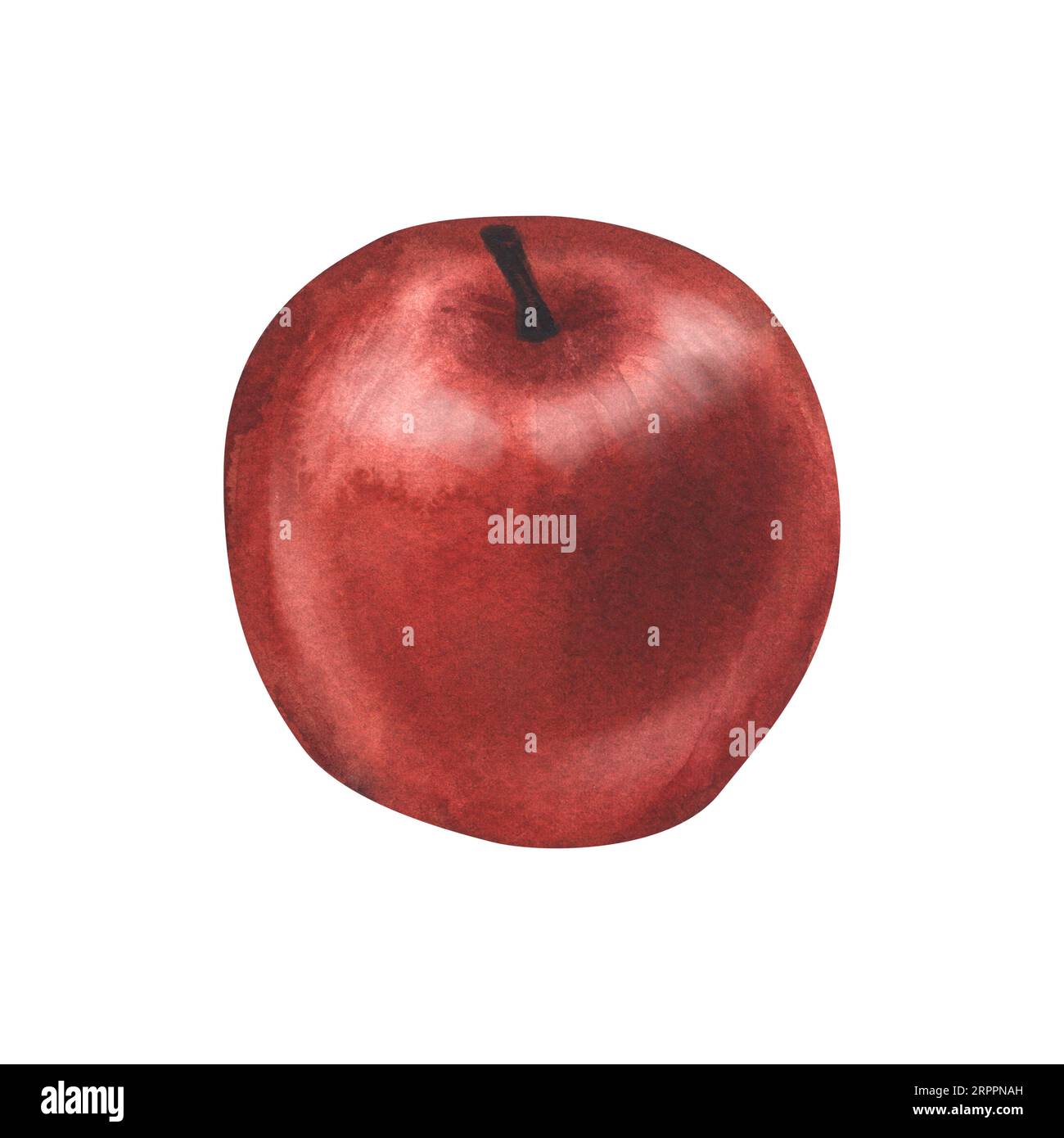 Aquarellfarben realistischer ganzer frischer roter Apfel. Handgezeichnete Illustration isoliert auf weißem Hintergrund. Perfekt für Menü-Café, Öko-Naturkost Obst Stockfoto