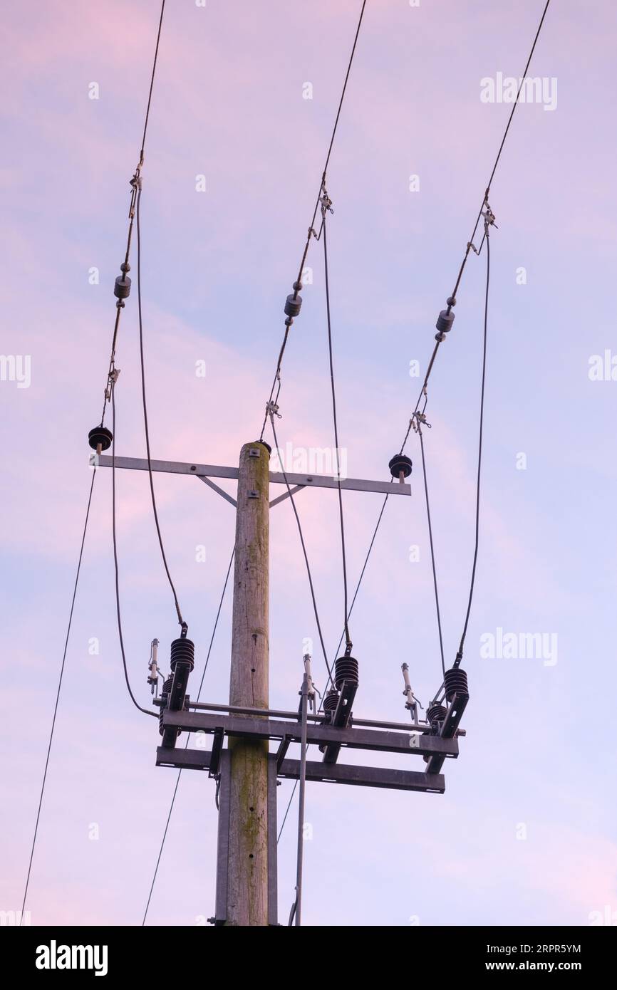 Telegraph Pole, der Elektrizität in einem ländlichen Gebiet transportiert. Stockfoto