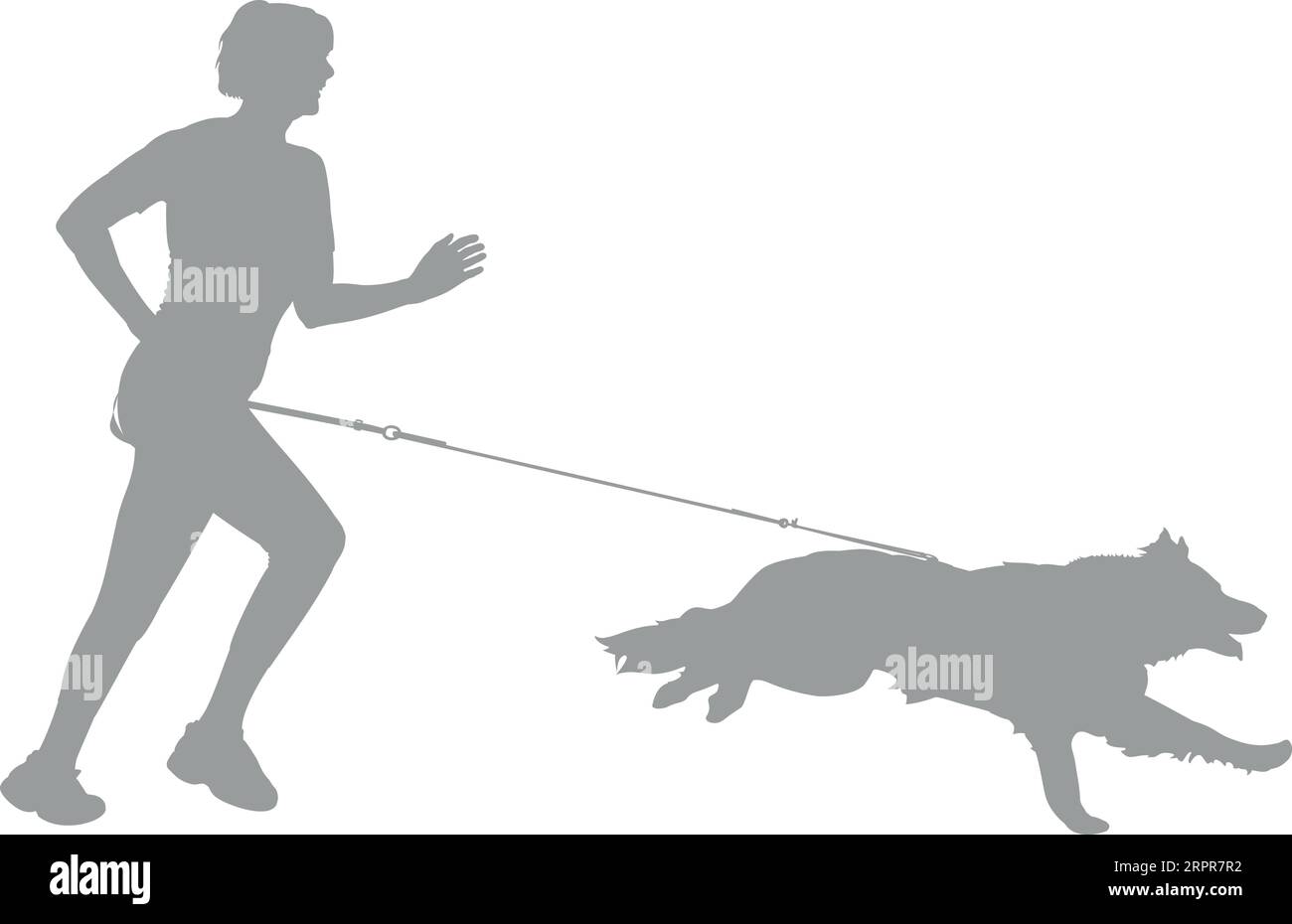 CaniCross – Frau, die mit einer Collie-Silhouette an der Grenze läuft Stock Vektor