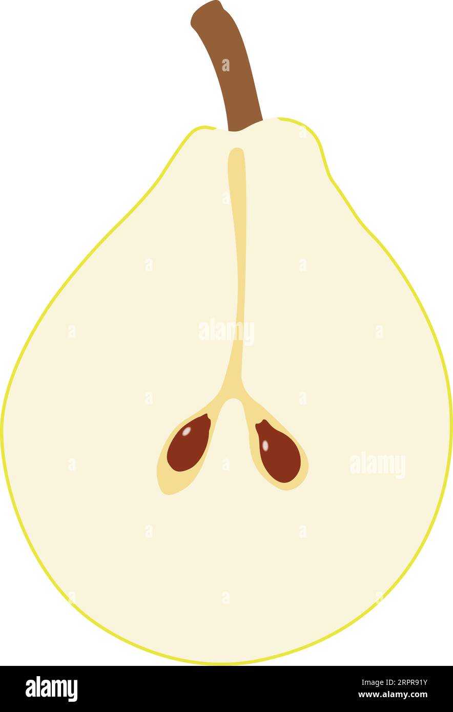 Birnenfrucht In Zwei Hälften Geschnitten Stock Vektor
