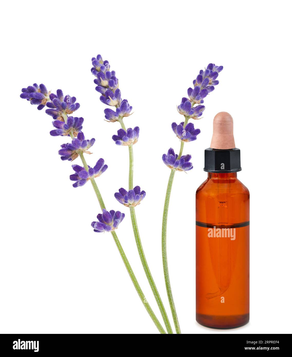 Lavendelblüten mit ätherischer Ölflasche isoliert auf weißem Hintergrund Stockfoto