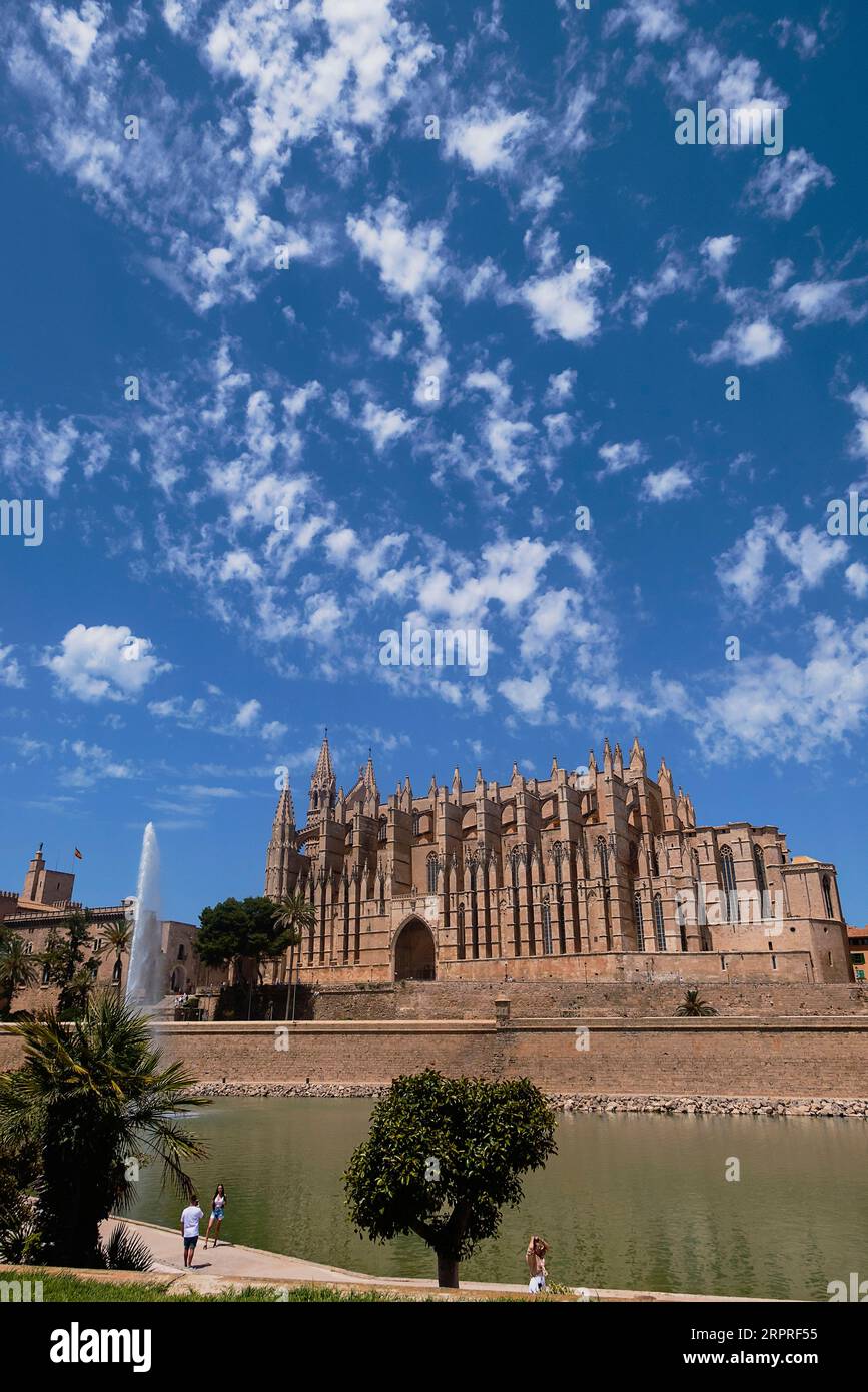 Spanien, Balearen, Mallorca, Palma de Mallorca, Altstadt. Die gotische römisch-katholische Kathedrale Santa Maria von La Seu mit Springbrunnen im Vordergrund. Stockfoto