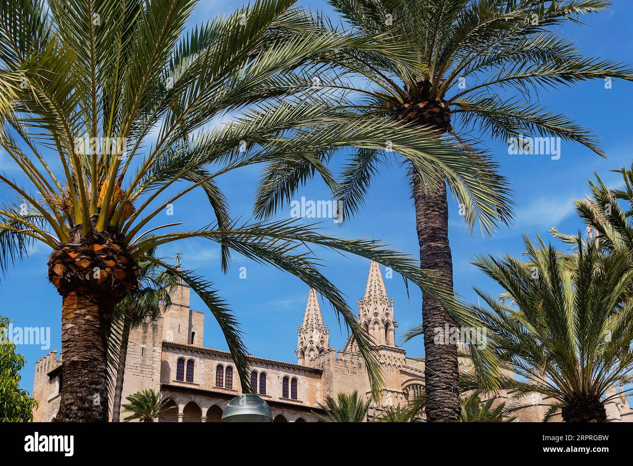 Spanien, Balearen, Mallorca, Palma de Mallorca, Altstadt. Königlicher Palast von La Almudaina und gotische römisch-katholische Kathedrale von Santa Maria von La Seu Stockfoto