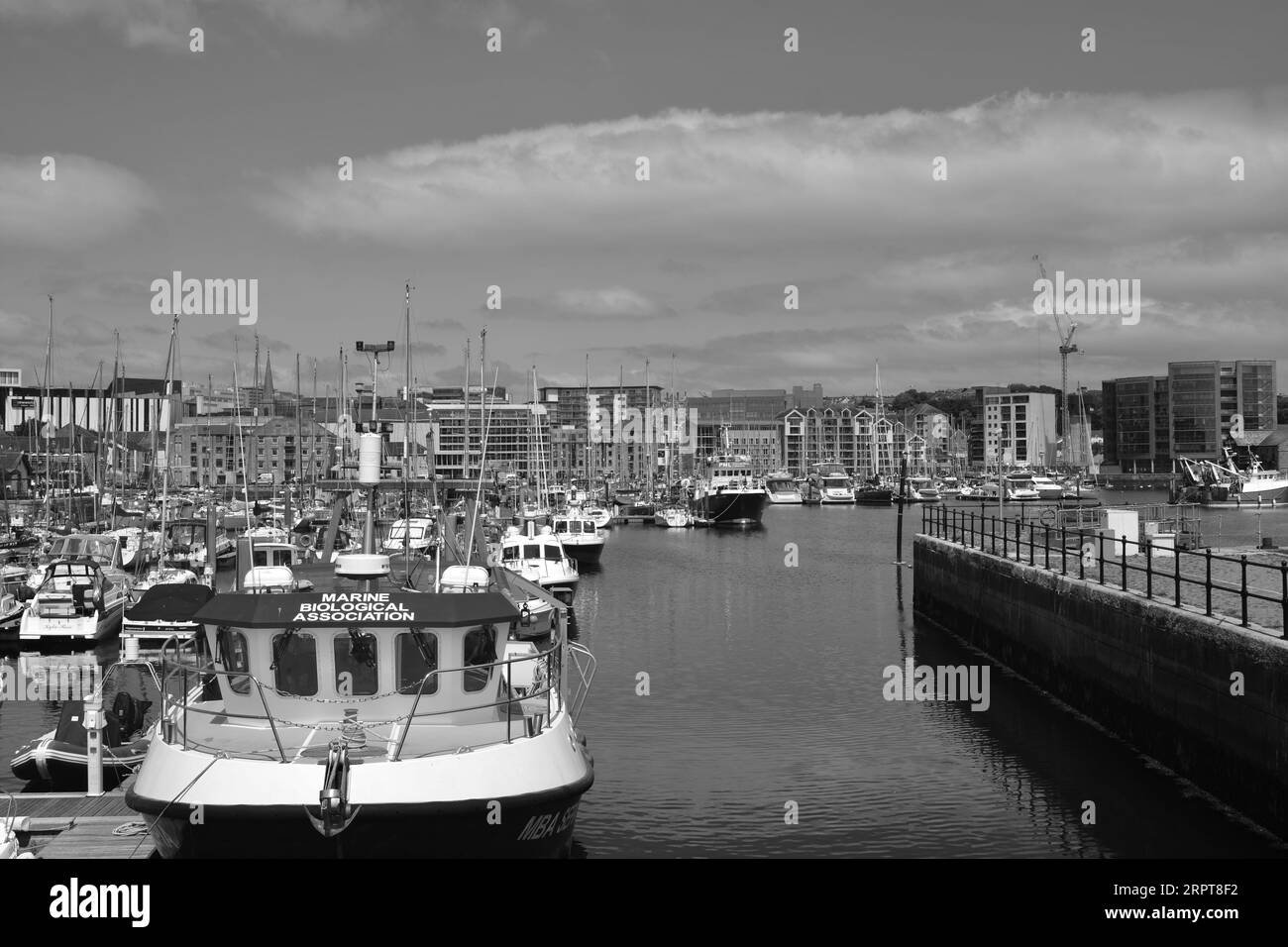 Schwarz-weiß-Foto der Yachten und Motorboote im Hafen von Sutton, aufgenommen von Plymouth Fisheries. Stockfoto