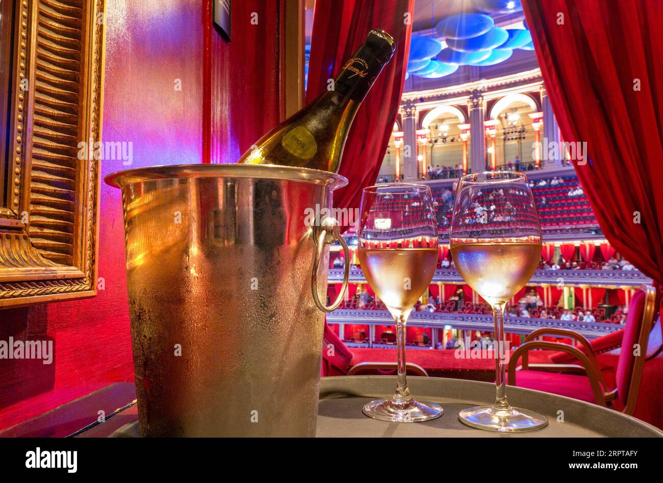 ALBERT HALL WEIN GETRÄNKE SERVICE INNEN PRIVATE BOX ALBERT HALL INTERVALL SERVICE GETRÄNKE WEIN KÜHLER GLÄSER Luxus Unterhaltung Event Intervall Erfrischungen Service, mit Domaine Dampt Chablis Weißwein in kühleren Eiskübel mit gegossenen Gläsern in einer luxuriösen roten Samtbox. Royal Albert Hall Promenade Proms Konzerte Musik Unterhaltung Stockfoto