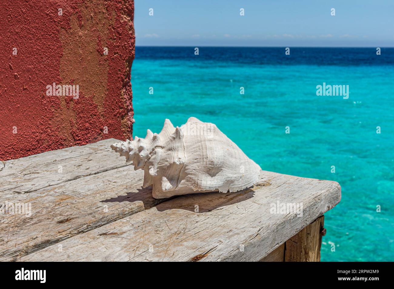 Gebleichte Schale auf verwittertem Tisch, Curacao, niederländische Antillen, Karibik Stockfoto