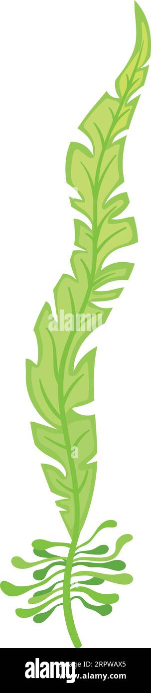 Maritimes Blumenelement. Grüne Meeresbodenpflanze Stock Vektor