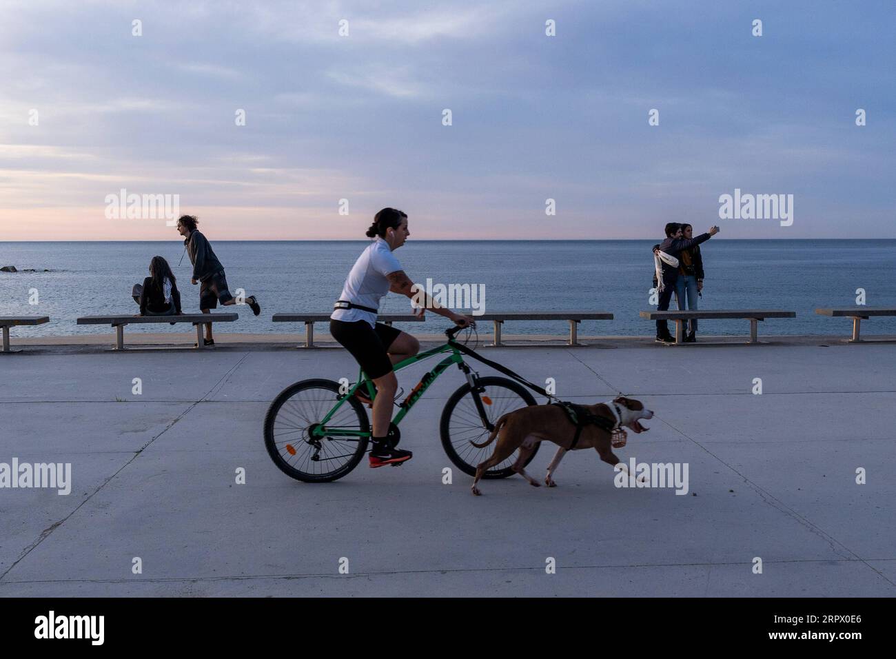 200502 -- BARCELONA, 2. Mai 2020 Xinhua -- Eine Frau radelt mit einem Hund am Bogatell Strand in Barcelona, Spanien, 2. Mai 2020. Die spanische Regierung hat im Einklang mit den Vorschriften über die soziale Distanzierung Zeitnischen für Outdoor-Aktivitäten festgelegt, um eine weitere Ansteckung durch COVID-19 zu verhindern. Foto von Joan Gosa/Xinhua SPAIN-BARCELONA-COVID-19-OUTDOOR-AKTIVITÄTEN PUBLICATIONxNOTxINxCHN Stockfoto
