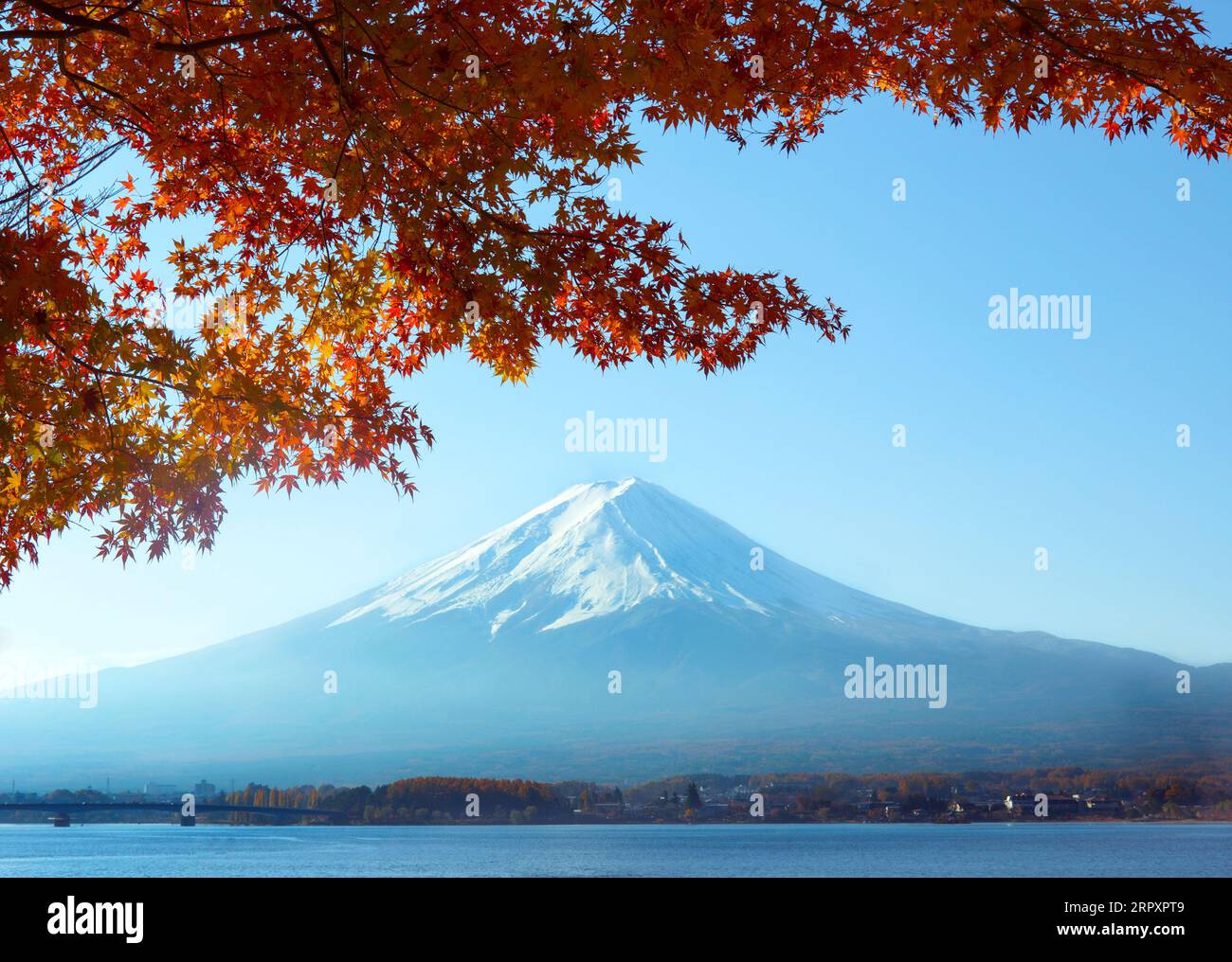 Fuji mit rotem Ahorn im Herbst, Kawaguchi-See, Kawaguchiko-Stadt, Präfektur Yamanashi, Japan Stockfoto