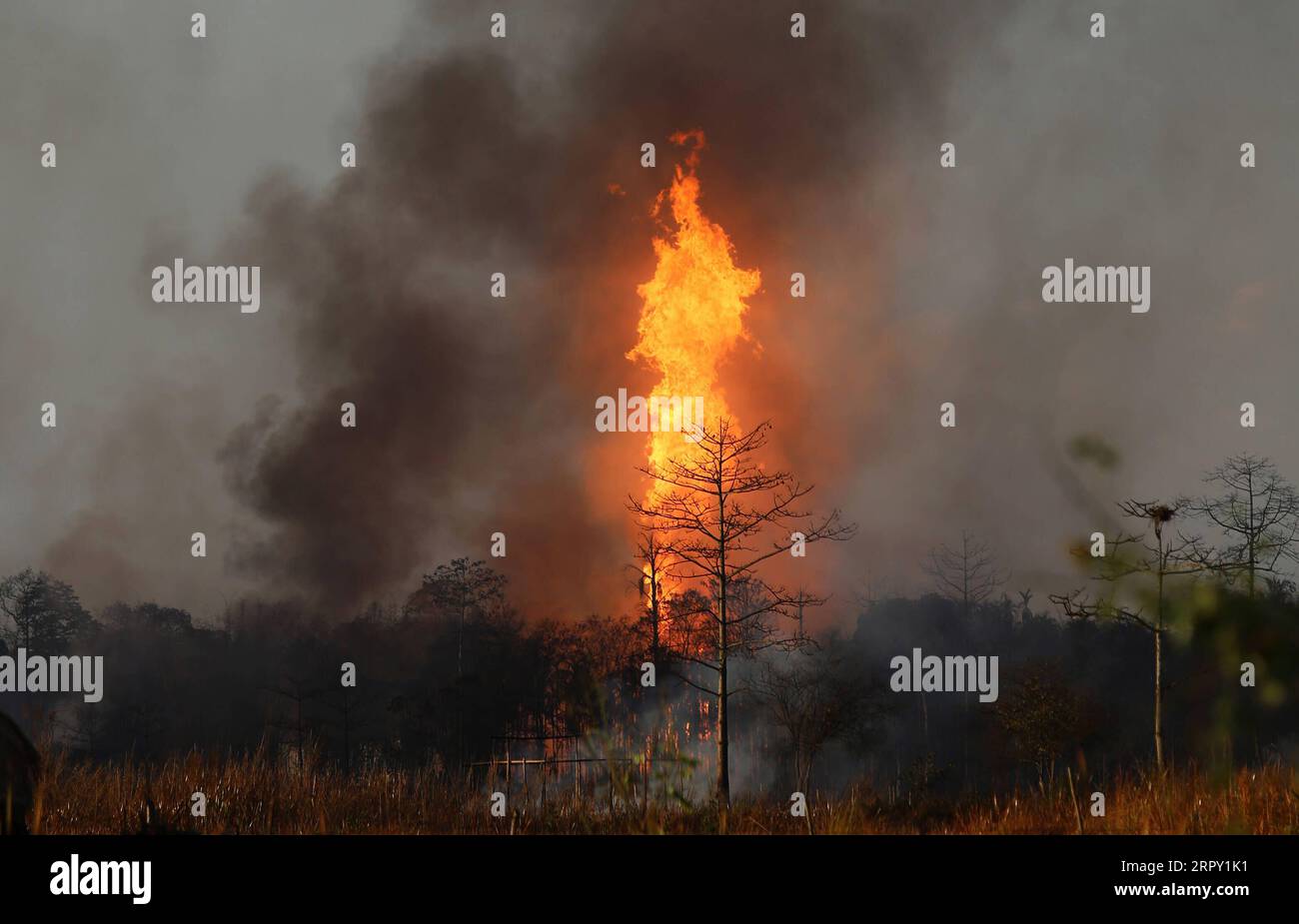 News Themen der Woche KW24 News Bilder des Tages 200610 -- ASSAM, 10. Juni 2020 -- das Foto vom 9. Juni 2020 zeigt Flammen, die an der Stelle eines Gasbrunnens auf einem Ölfeld im indischen Bundesstaat Tinsukia ausbrechen. STR/Xinhua INDIA-ASSAM-OIL-FIELD-GAS WELL LECK-FIRE Stringer PUBLICATIONxNOTxINxCHN Stockfoto