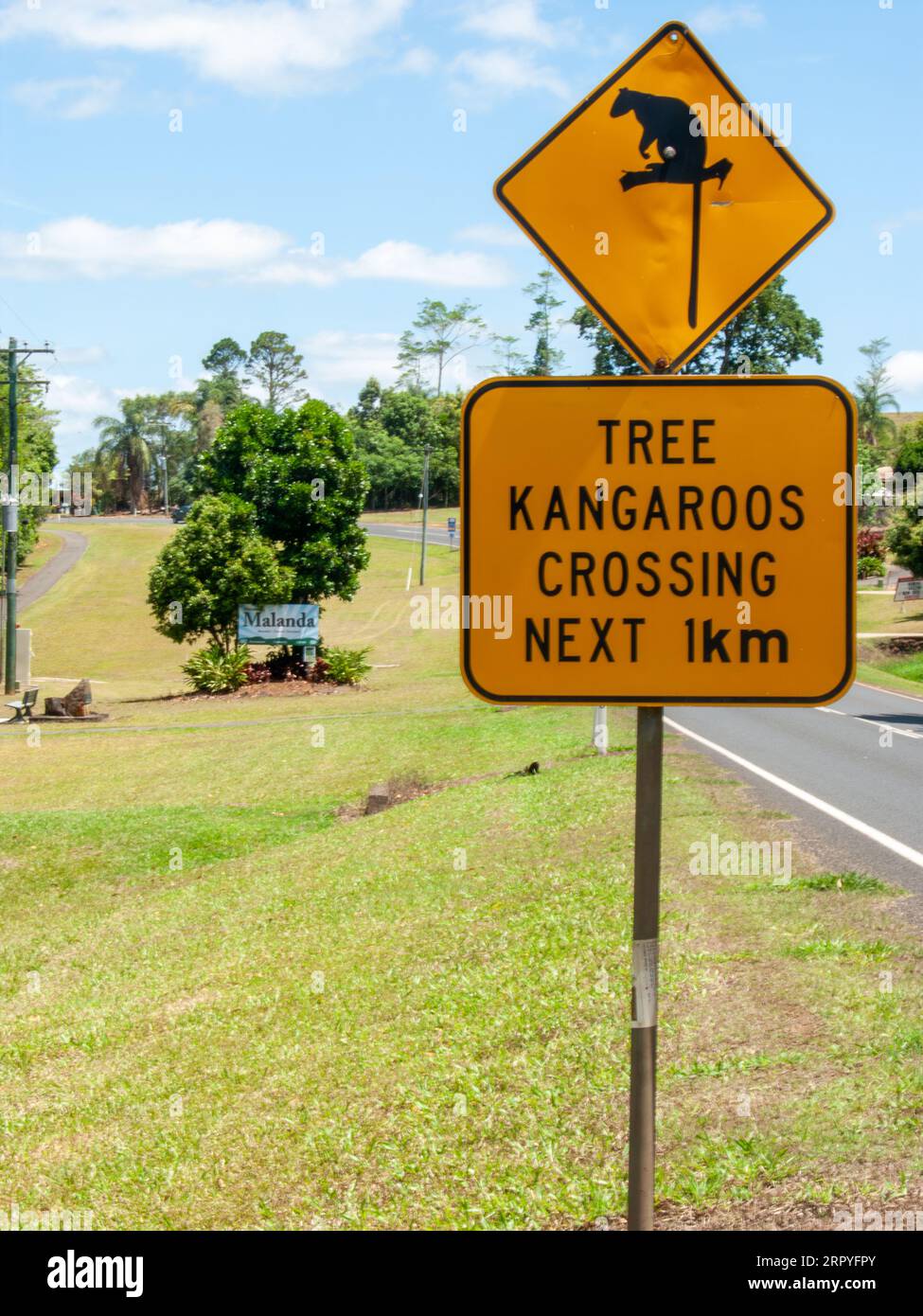 Tree Kangaroo Crossing, Straßenschild, Malanda, Australien. Stockfoto