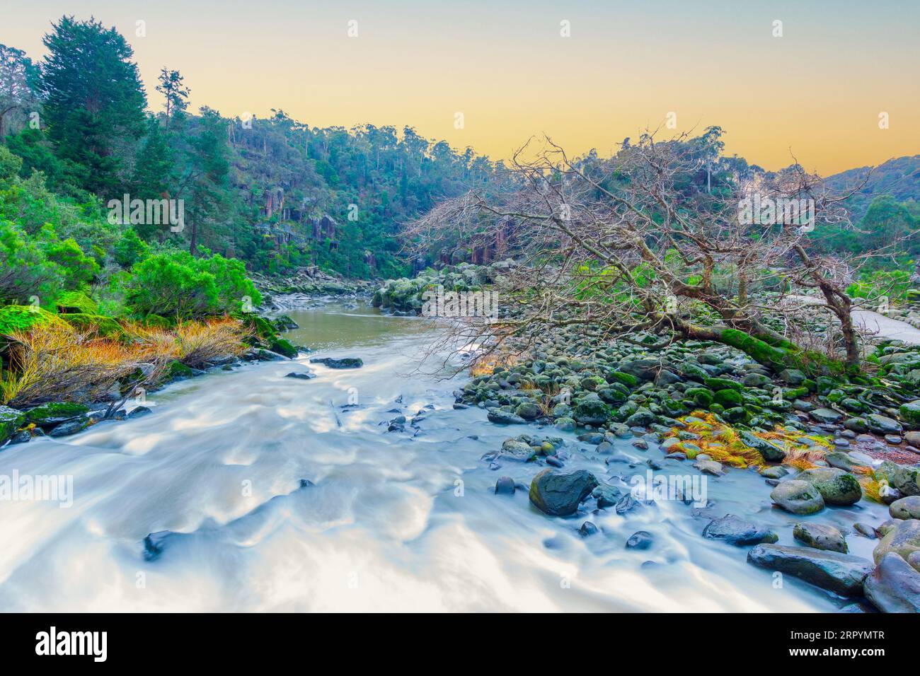 Der South Esk River in der Cataract Gorge in Launceston, Tasmanien, Australien. Stockfoto