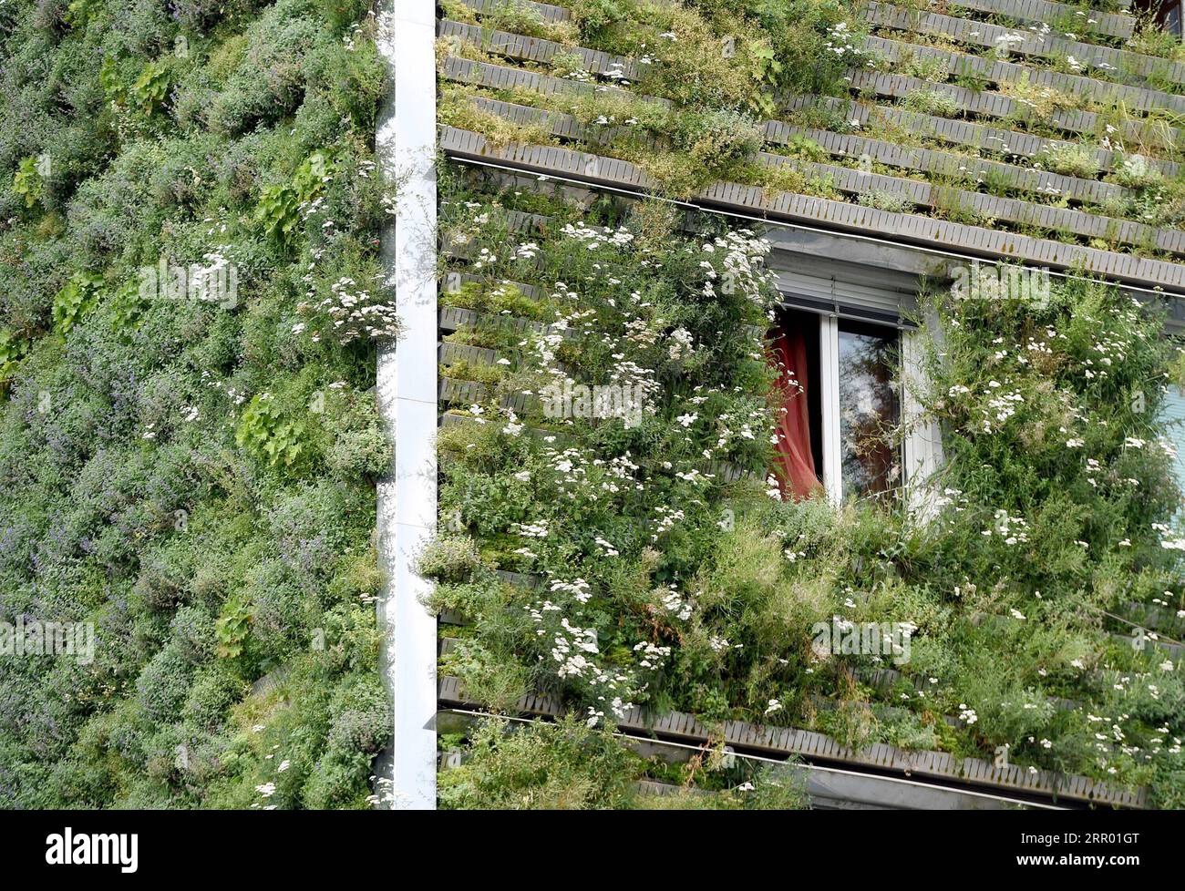 200722 -- WIEN, 22. Juli 2020 -- Foto vom 22. Juli 2020 zeigt grüne Fassaden des Hauptsitzes der MA 48 in Wien, Österreich. Die Fassaden des Hauptquartiers der MA 48 waren mit grünen Pflanzen gesäumt, die sich positiv auf das Mikroklima, den Schutz der Bausubstanz vor treibendem Regen und Schmutzablagerungen, den Lärmschutz und die Kühlleistung auswirkten. ÖSTERREICH-WIEN-MA 48 HAUPTSITZ-GRÜNE FASSADEN GUOXCHEN PUBLICATIONXNOTXINXCHN Stockfoto