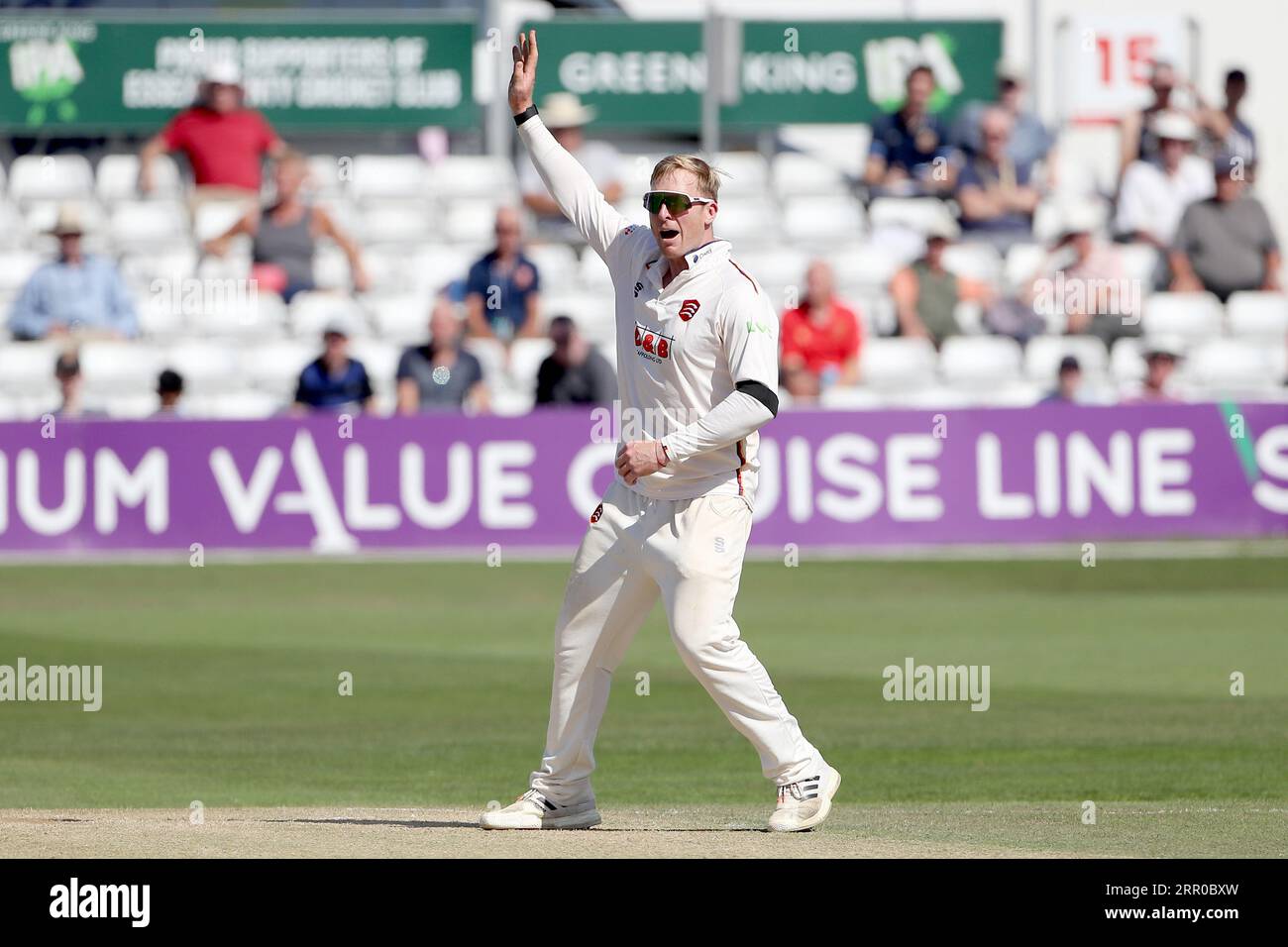 Simon Harmer aus Essex bittet um ein Wicket während des Essex CCC vs Middlesex CCC, LV Insurance County Championship Division 1 Cricket im Cloud County Stockfoto