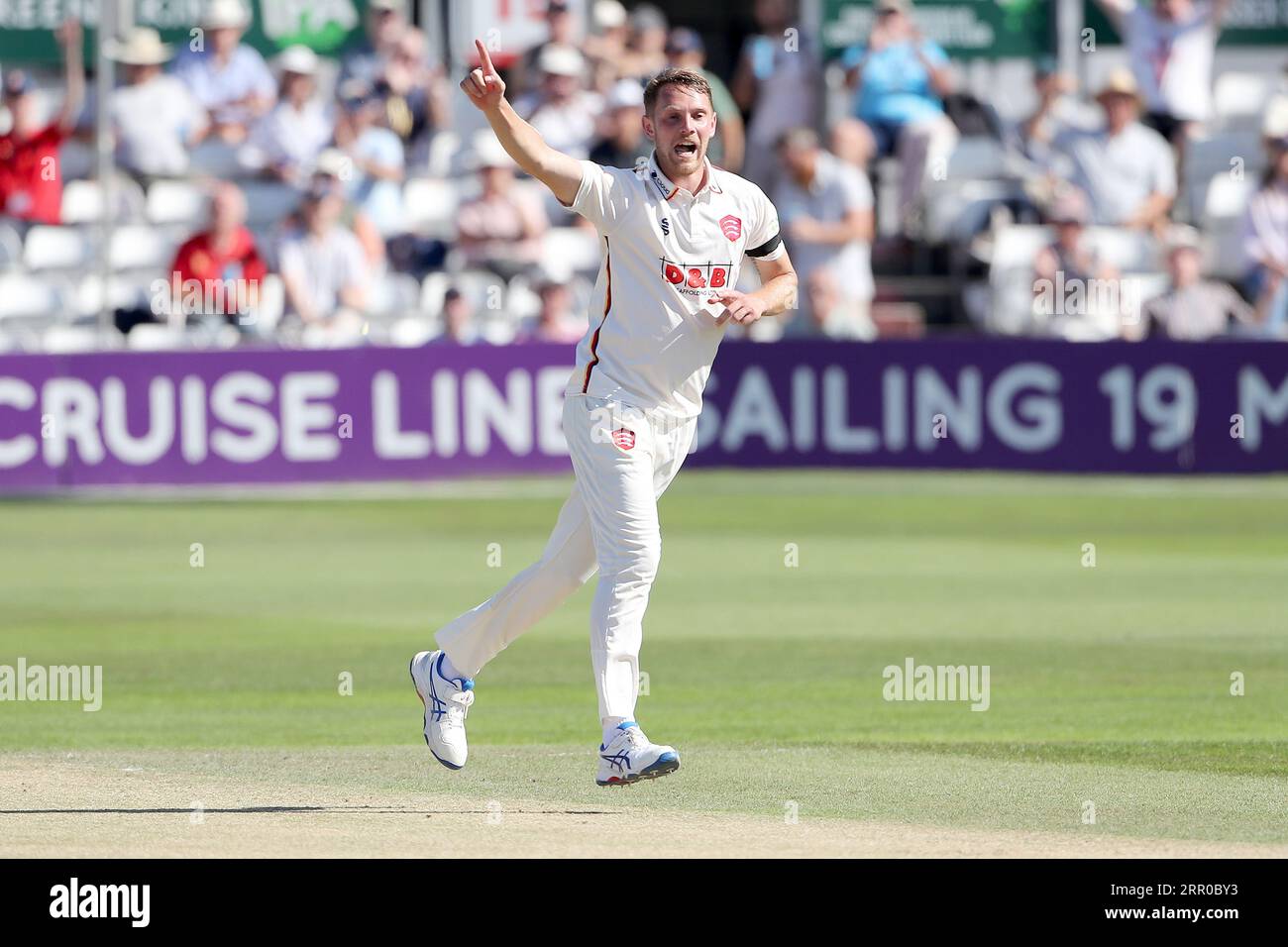 Jamie Porter aus Essex feiert, dass Sam Robson während des Essex CCC gegen Middlesex CCC, LV Insurance County Championship Division 1 Cricke, das Wicket von Sam Robson übernimmt Stockfoto