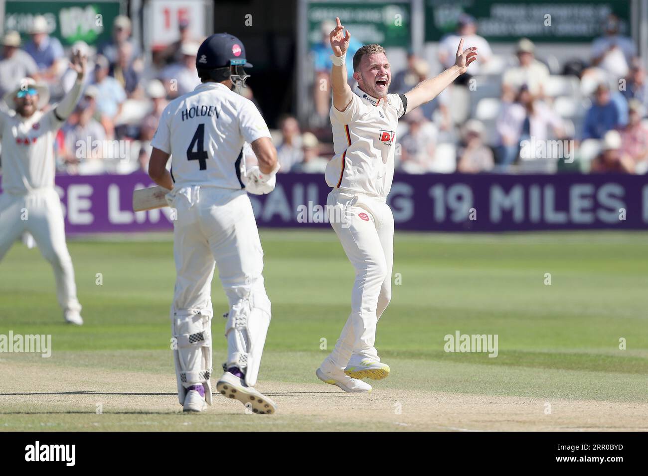 Sam Cook aus Essex behauptet, Jack Davies habe während des Essex CCC gegen Middlesex CCC, LV Insurance County Championship Division 1 Cricket at the Cloud, einen Wicket-Titel erhalten Stockfoto