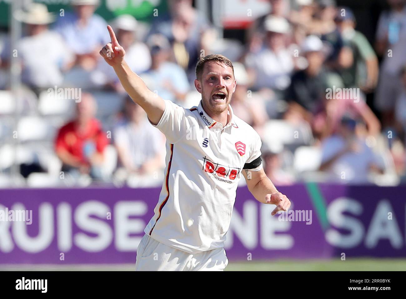 Jamie Porter aus Essex feiert, dass Sam Robson während des Essex CCC gegen Middlesex CCC, LV Insurance County Championship Division 1 Cricke, das Wicket von Sam Robson übernimmt Stockfoto