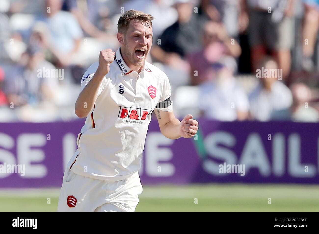 Jamie Porter aus Essex feiert, dass Joe Cracknell während des Essex CCC gegen Middlesex CCC, LV Insurance County Championship Division 1 CRI, das Wicket von Joe Cracknell genommen hat Stockfoto