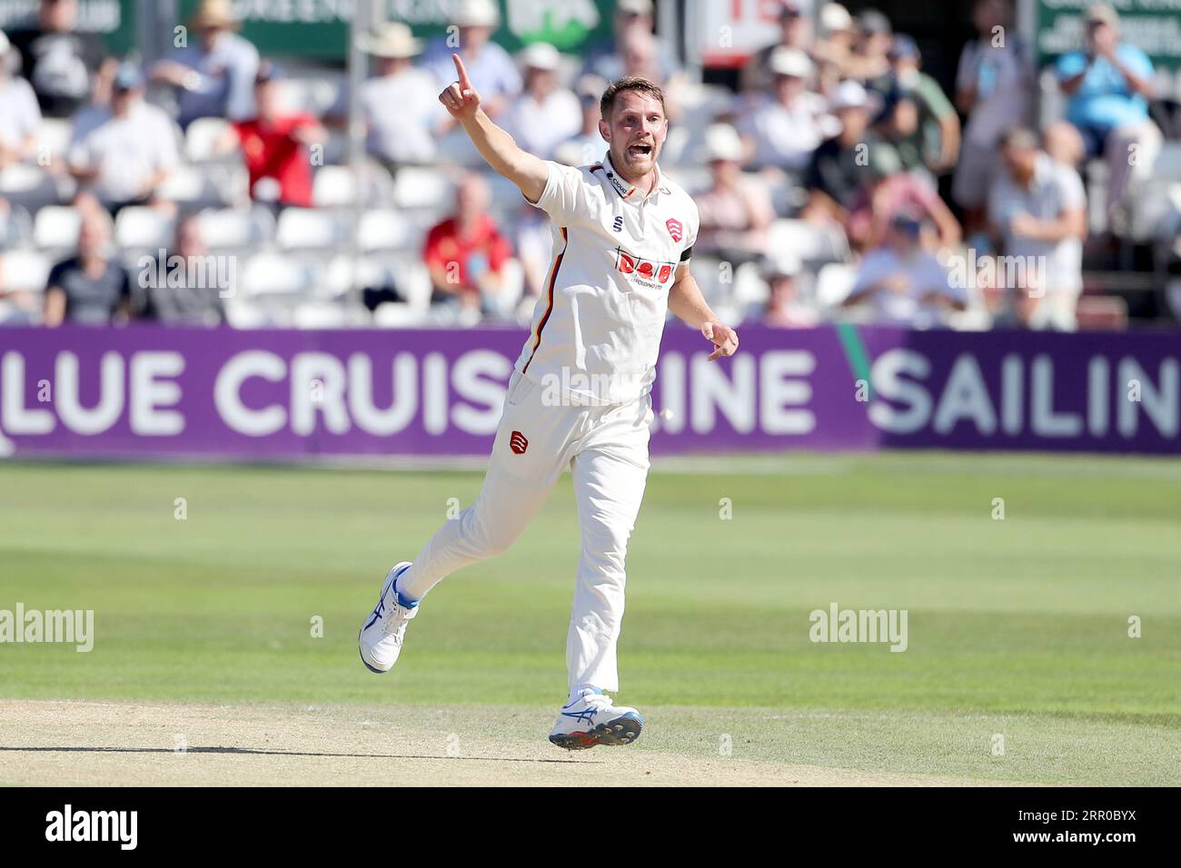 Jamie Porter aus Essex feiert, dass Sam Robson während des Essex CCC gegen Middlesex CCC, LV Insurance County Championship Division 1 Cricke, das Wicket von Sam Robson übernimmt Stockfoto