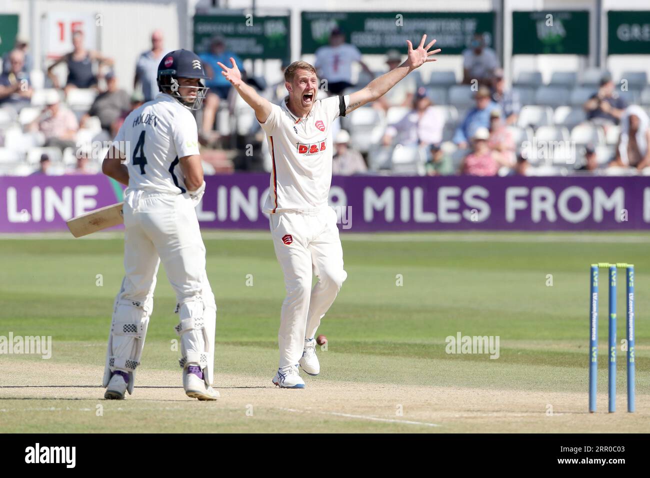 Jamie Porter aus Essex behauptet das Wicket von John Simpson während des Essex CCC vs Middlesex CCC, LV Insurance County Championship Division 1 Cricket auf dem Stockfoto