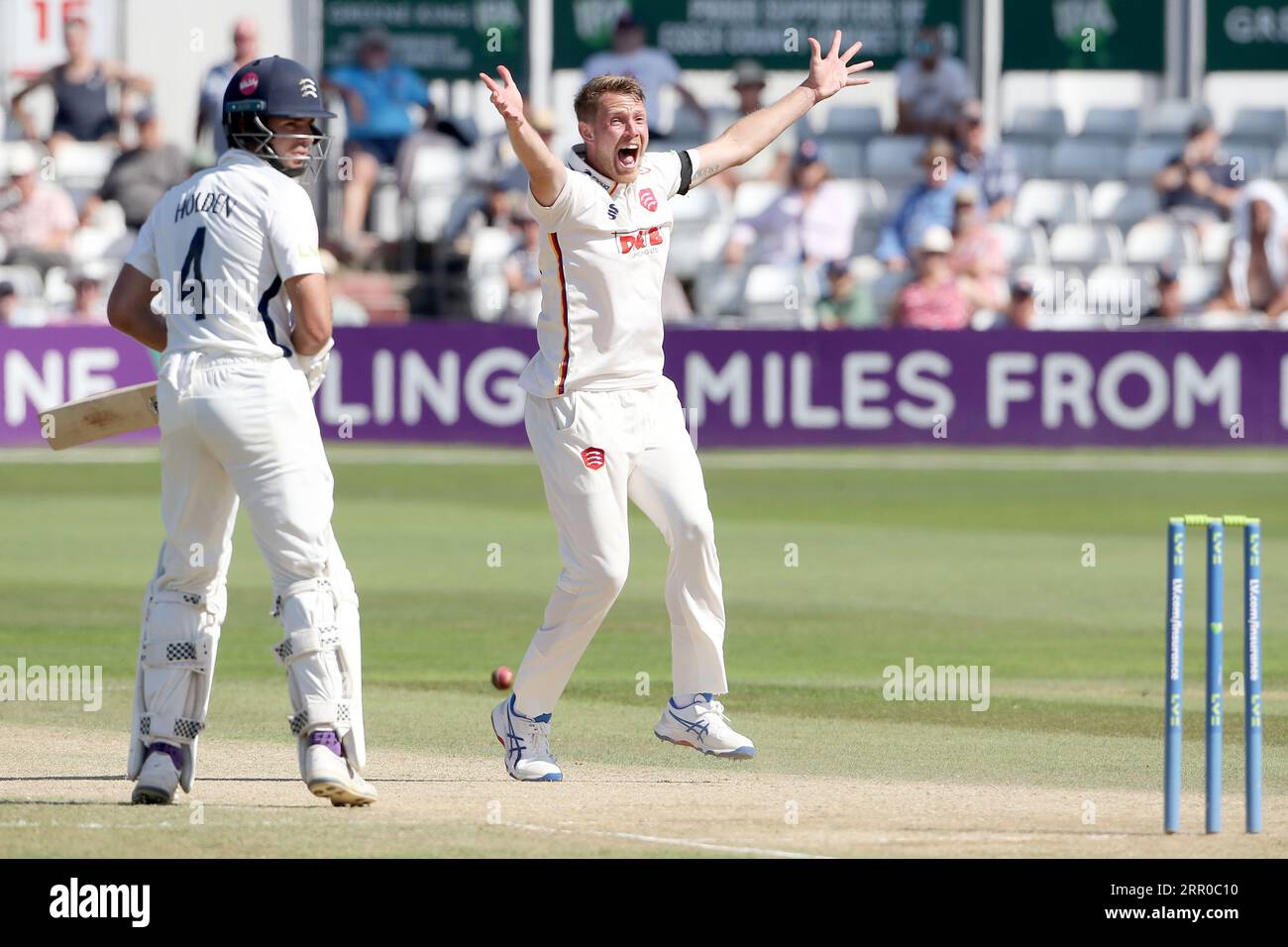 Jamie Porter aus Essex behauptet das Wicket von John Simpson während des Essex CCC vs Middlesex CCC, LV Insurance County Championship Division 1 Cricket auf dem Stockfoto
