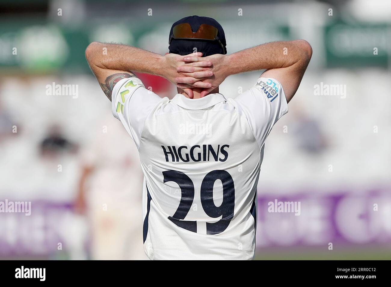 Frustration für Ryan Higgins aus Middlesex während Essex CCC vs Middlesex CCC, LV Insurance County Championship Division 1 Cricket im Cloud County G Stockfoto