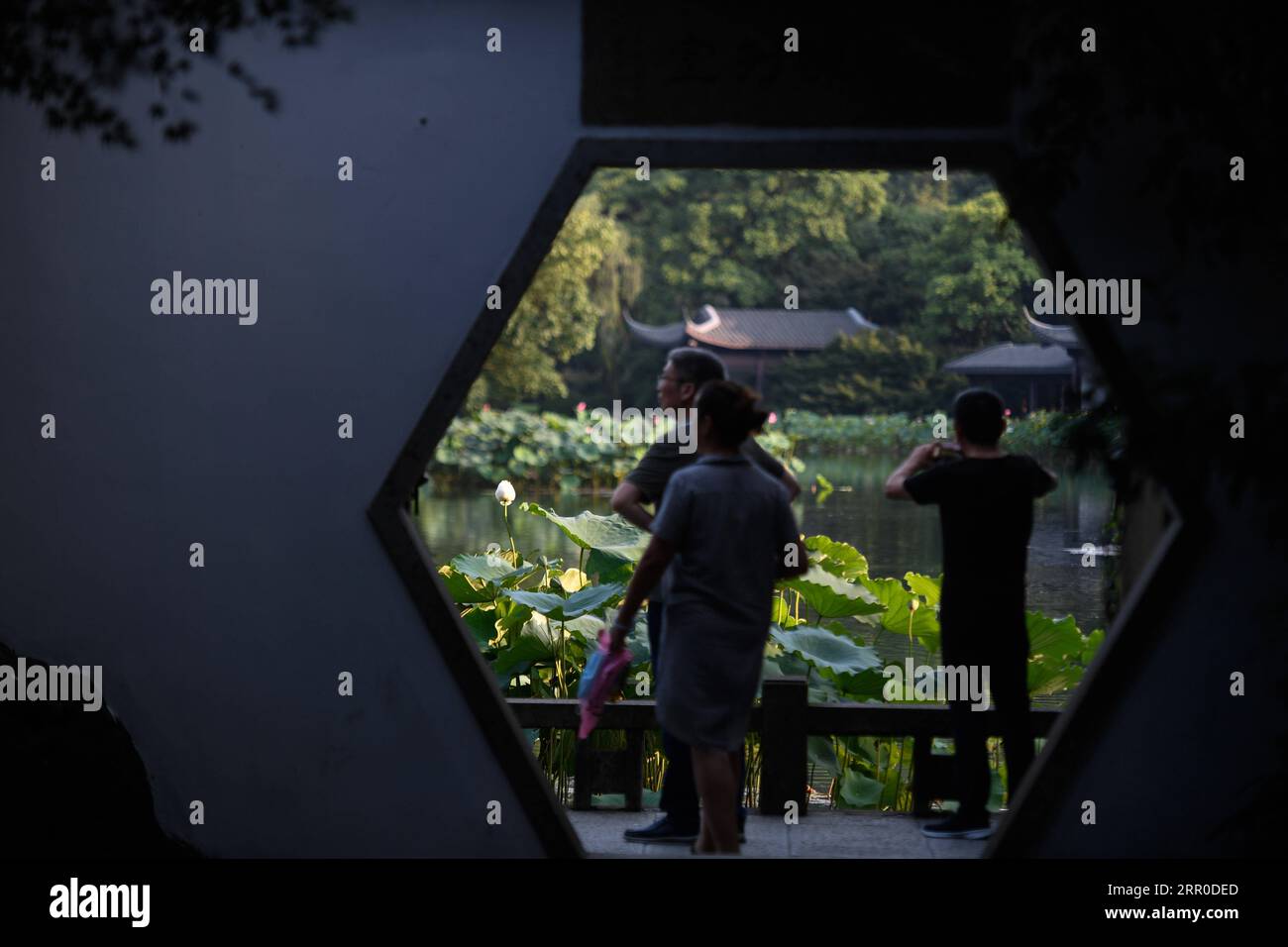 200810 -- HANGZHOU, 10. Aug. 2020 -- Touristen schauen sich Lotusblumen im malerischen Gebiet des Westsees in Hangzhou, ostchinesische Provinz Zhejiang, 30. Juni 2020 an. Die Kulturlandschaft des West Lake in Hangzhou, umrahmt von wolkenbedeckten Hügeln auf drei Seiten und aufgeteilt in mehrere Teile durch malerische Dämme, präsentiert eine zarte Landschaft mit sich überlappenden Gipfeln und verstreuten Tempeln, Pagoden, Pavillons, Gärten, Zierbäumen, und künstliche Inseln, die der Stadt Hangzhou Schönheit verleihen. Es wurde vom Weltkulturerbe-Komitee in die UNESCO-Liste des Weltkulturerbes als Kulturgut aufgenommen Stockfoto