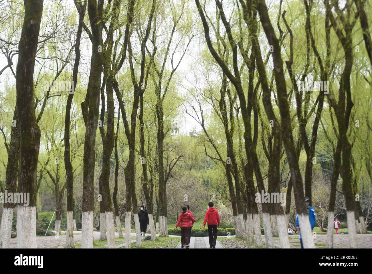 200810 -- HANGZHOU, 10. August 2020 -- Touristen besuchen einen Park am West Lake Scenic Area in Hangzhou, Hauptstadt der ostchinesischen Provinz Zhejiang, 12. März 2020. Die Kulturlandschaft des West Lake in Hangzhou, umrahmt von wolkenbedeckten Hügeln auf drei Seiten und aufgeteilt in mehrere Teile durch malerische Dämme, präsentiert eine zarte Landschaft mit sich überlappenden Gipfeln und verstreuten Tempeln, Pagoden, Pavillons, Gärten, Zierbäumen, und künstliche Inseln, die der Stadt Hangzhou Schönheit verleihen. Es wurde vom Weltkulturerbe-Komitee in die UNESCO-Liste des Weltkulturerbes als kulturelles Eigentum aufgenommen Stockfoto