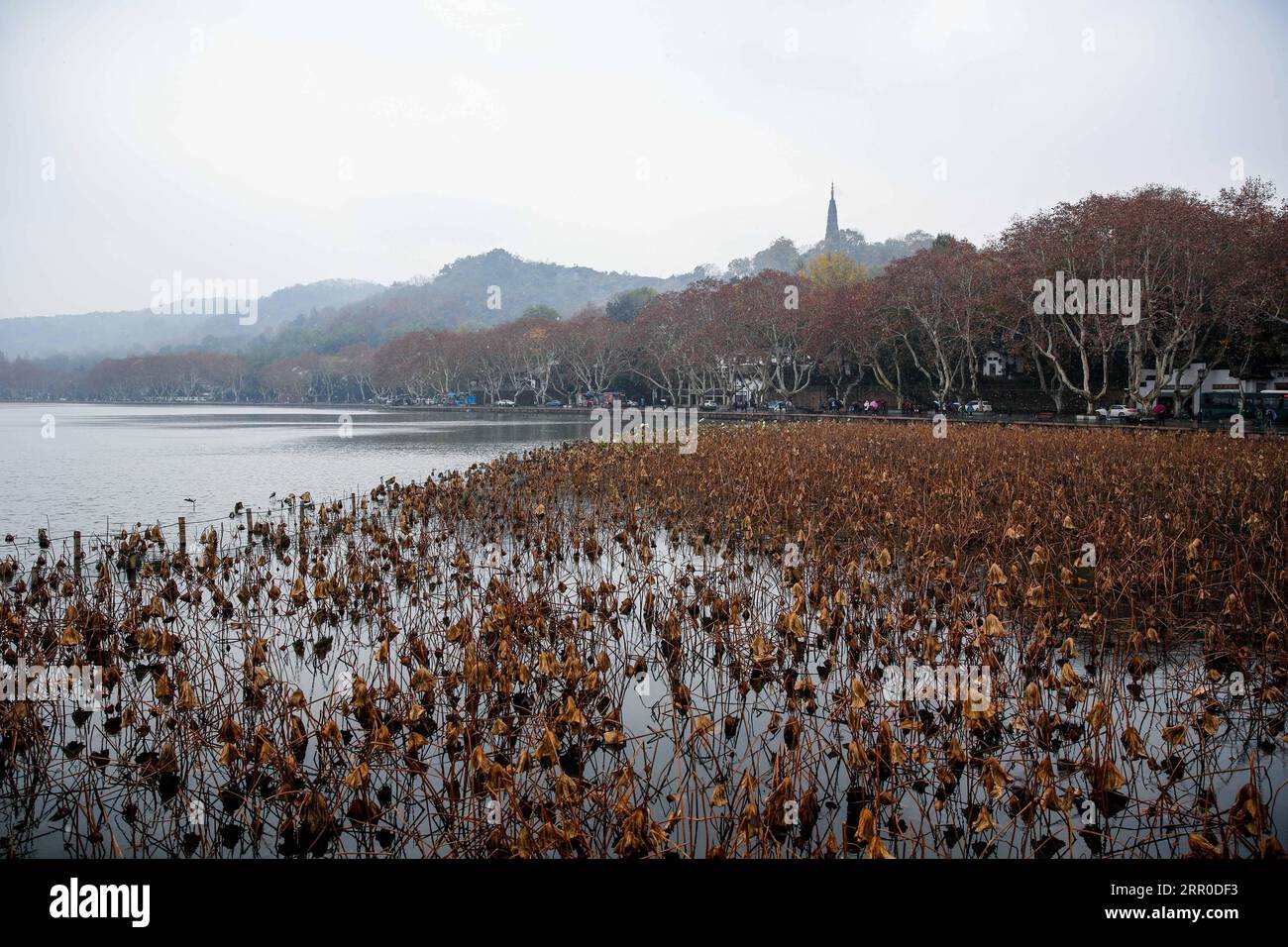 200810 -- HANGZHOU, 10. August 2020 -- Foto aufgenommen am 8. Dezember 2018 zeigt die Winterlandschaft des Westsees in Hangzhou, der ostchinesischen Provinz Zhejiang. Die Kulturlandschaft des West Lake in Hangzhou, umrahmt von wolkenbedeckten Hügeln auf drei Seiten und aufgeteilt in mehrere Teile durch malerische Dämme, präsentiert eine zarte Landschaft mit sich überlappenden Gipfeln und verstreuten Tempeln, Pagoden, Pavillons, Gärten, Zierbäumen, und künstliche Inseln, die der Stadt Hangzhou Schönheit verleihen. Es wurde vom Weltkulturerbe-Komitee in die UNESCO-Liste des Weltkulturerbes als Kulturgut in Pa aufgenommen Stockfoto