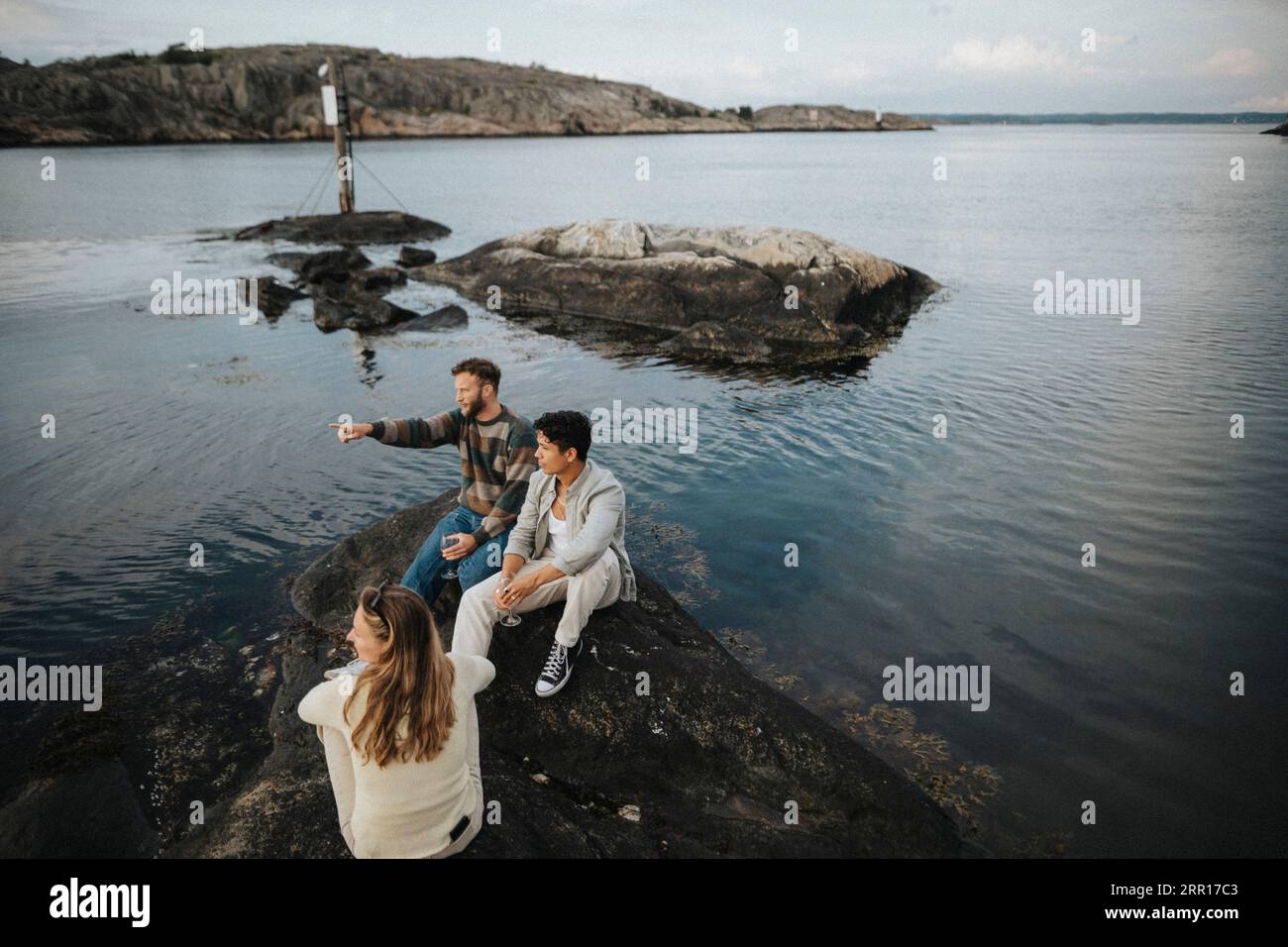 Blick aus einem hohen Winkel auf den Mann, der mit Freunden auf dem Felsen in der Nähe des Sees gestikuliert Stockfoto