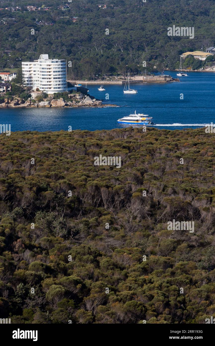 Blick auf Manly Headland, von Headland Park, Mosman, Sydney, NSW, Australien. Stockfoto