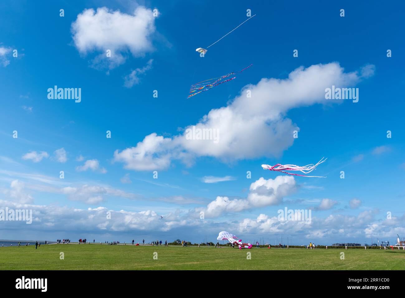 Kites auf der sogenannten Drachenwiese, Norddeich, Niedersachsen, Deutschland, Europa Stockfoto
