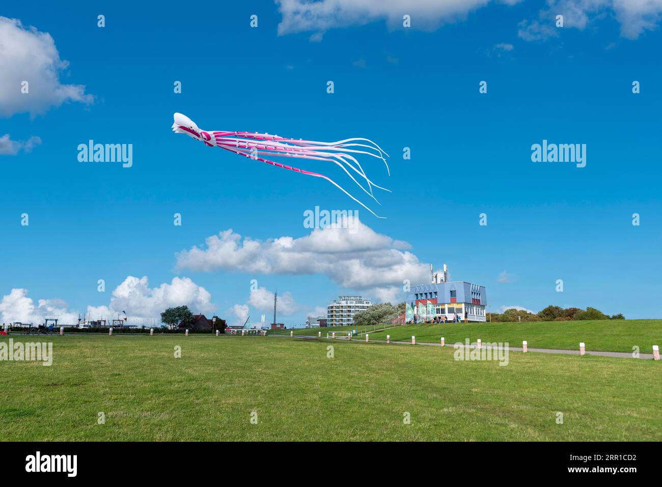 Kites auf der sogenannten Drachenwiese, Norddeich, Niedersachsen, Deutschland, Europa Stockfoto